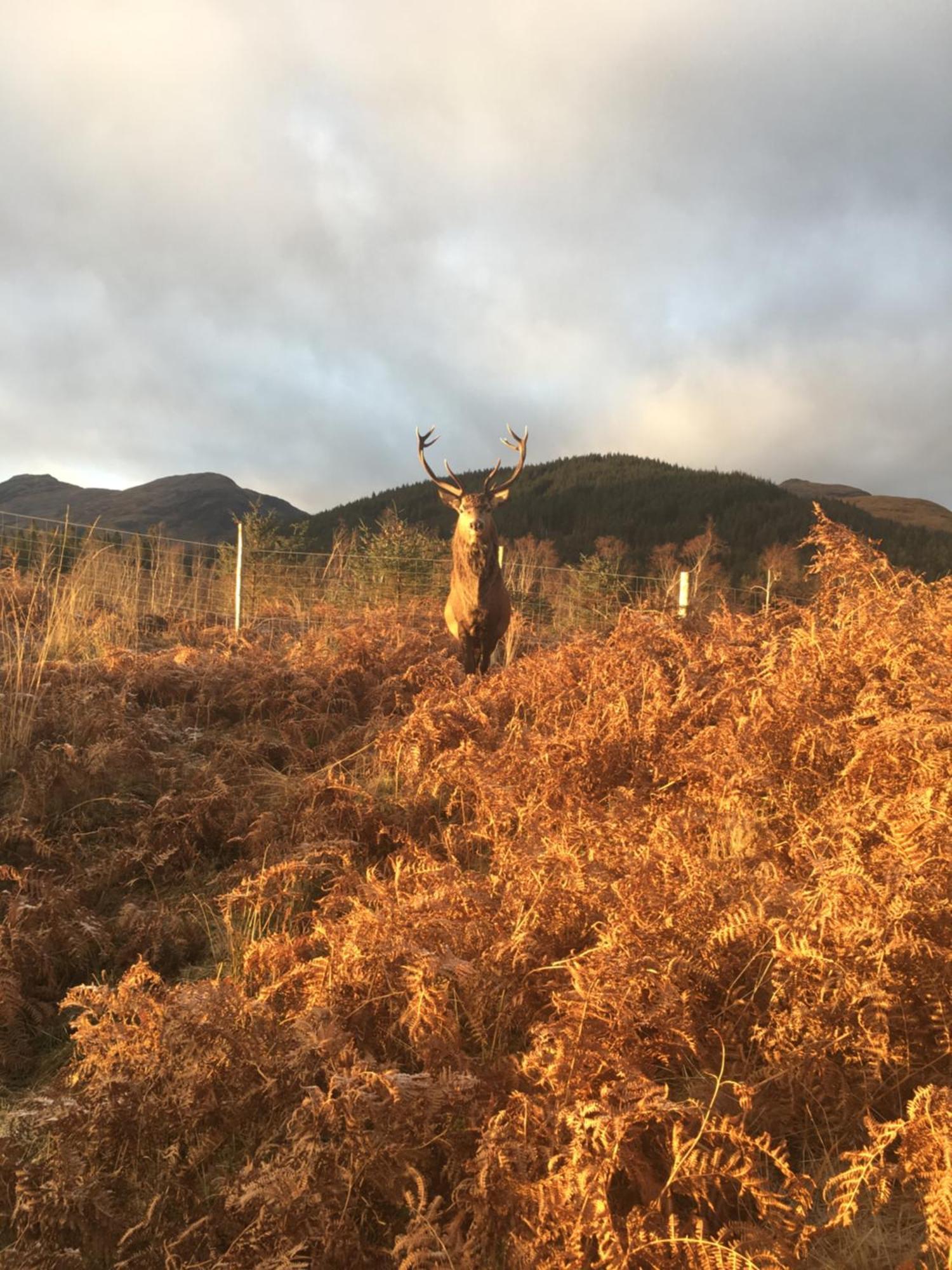 Stronchreggan View Guest House Fort William Esterno foto