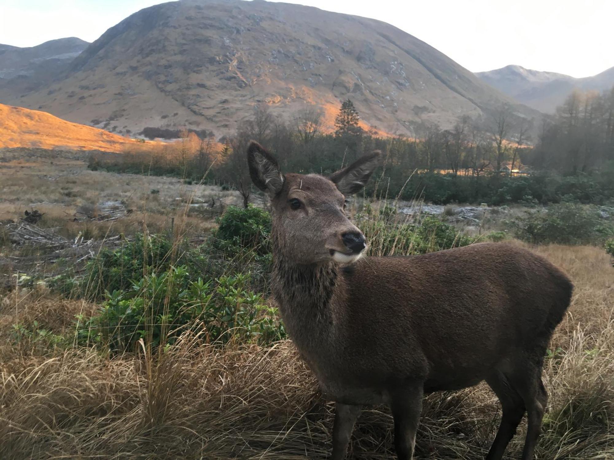 Stronchreggan View Guest House Fort William Esterno foto