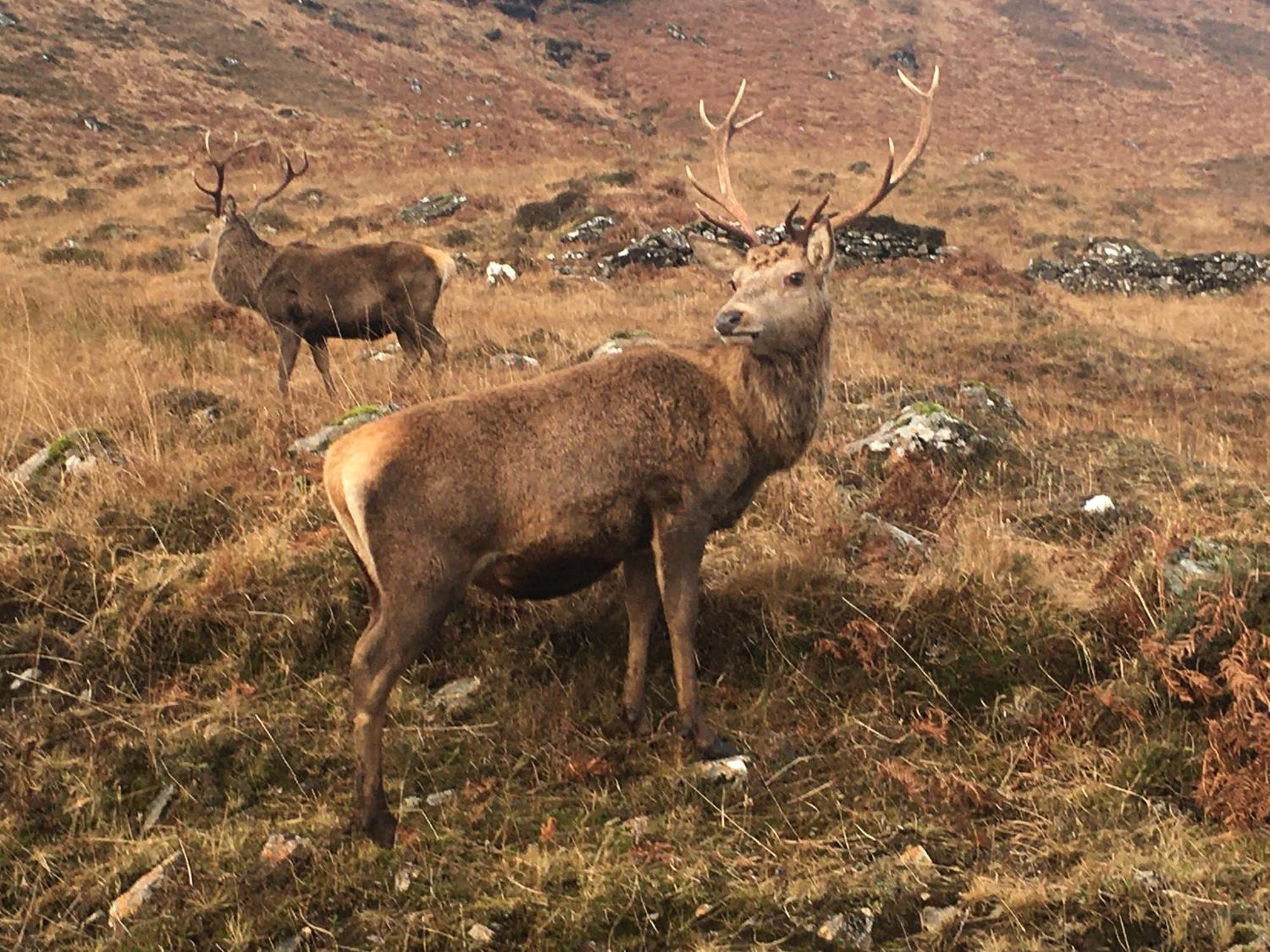 Stronchreggan View Guest House Fort William Esterno foto