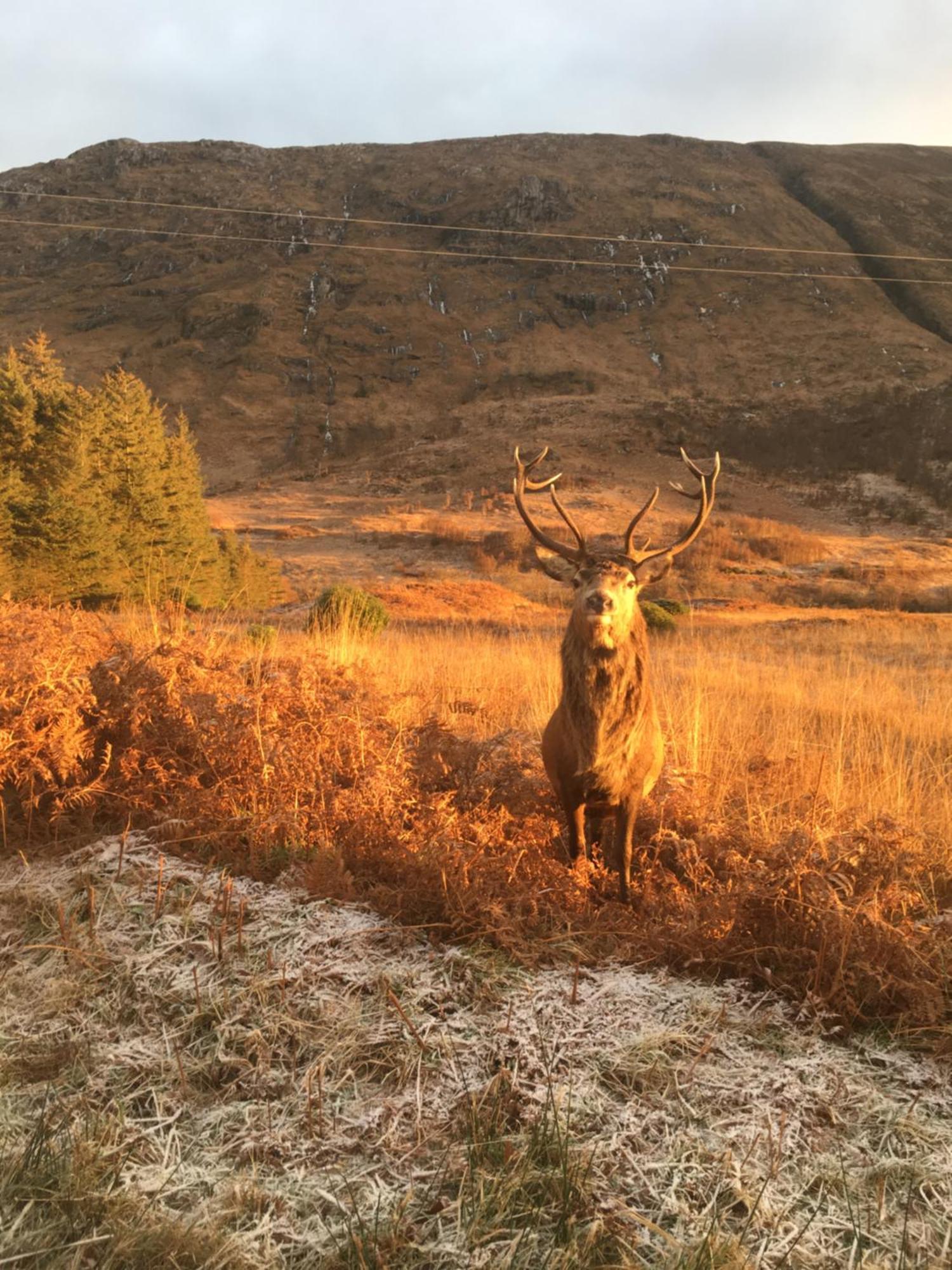 Stronchreggan View Guest House Fort William Esterno foto
